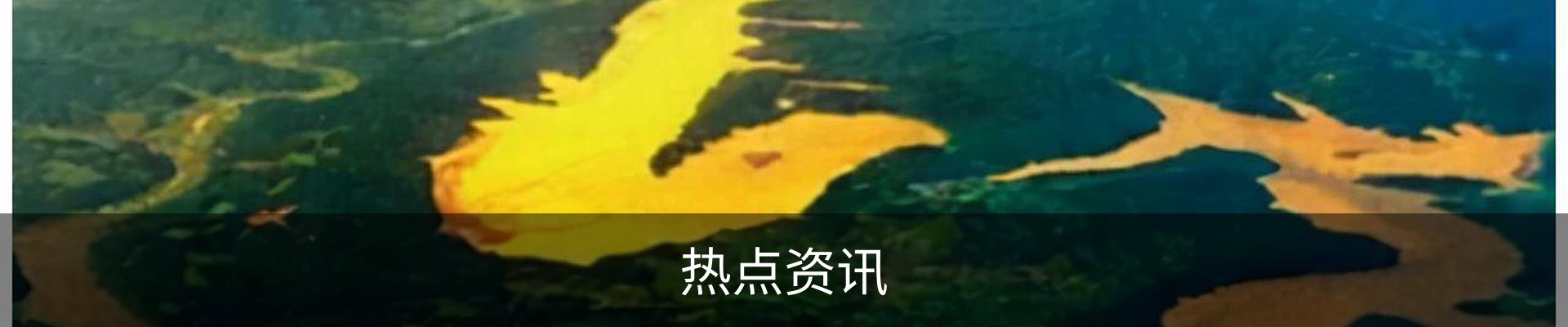 热点资讯